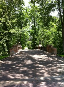 The main driveway to the house.